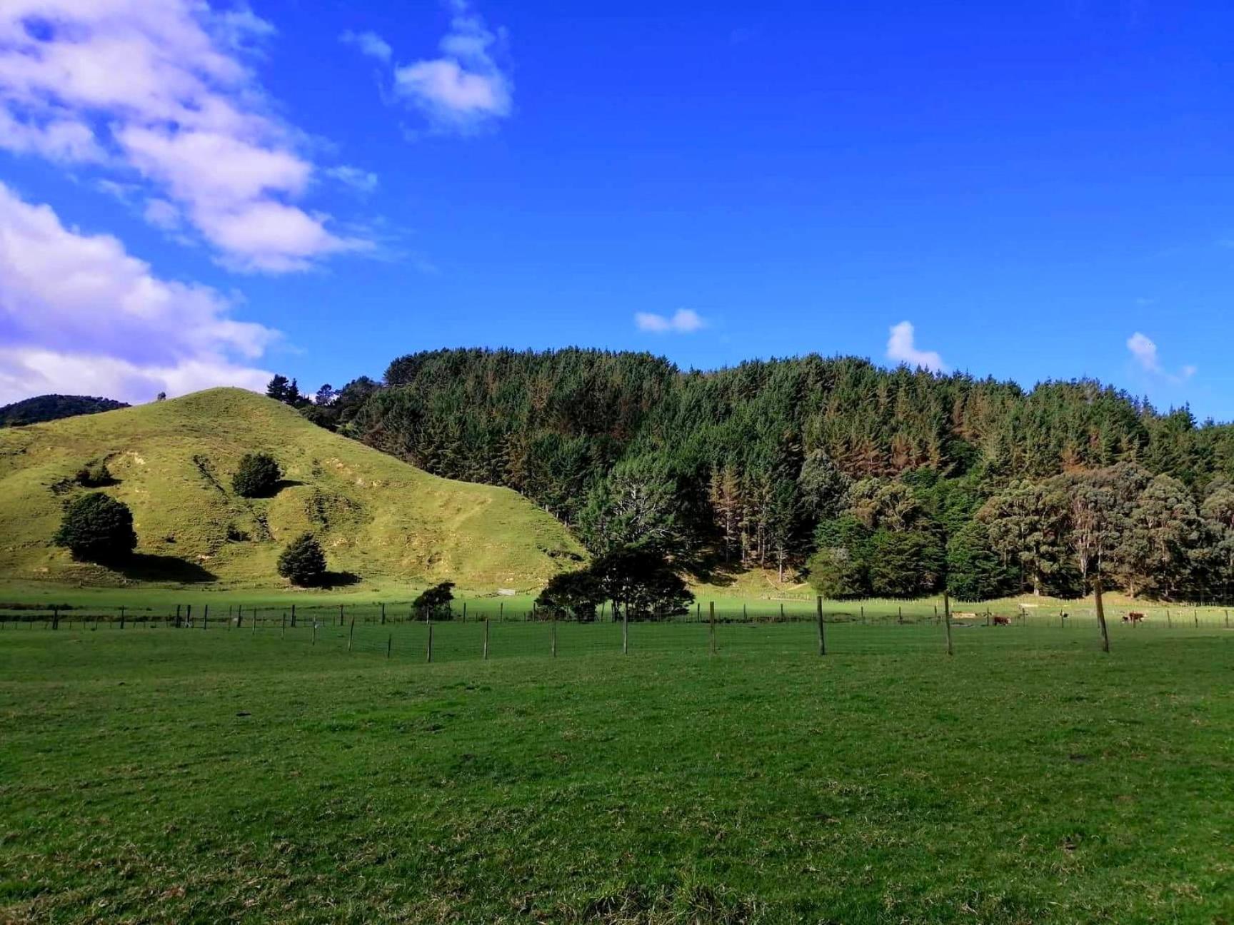 White Star Station Farm Holiday Park Coromandel Экстерьер фото